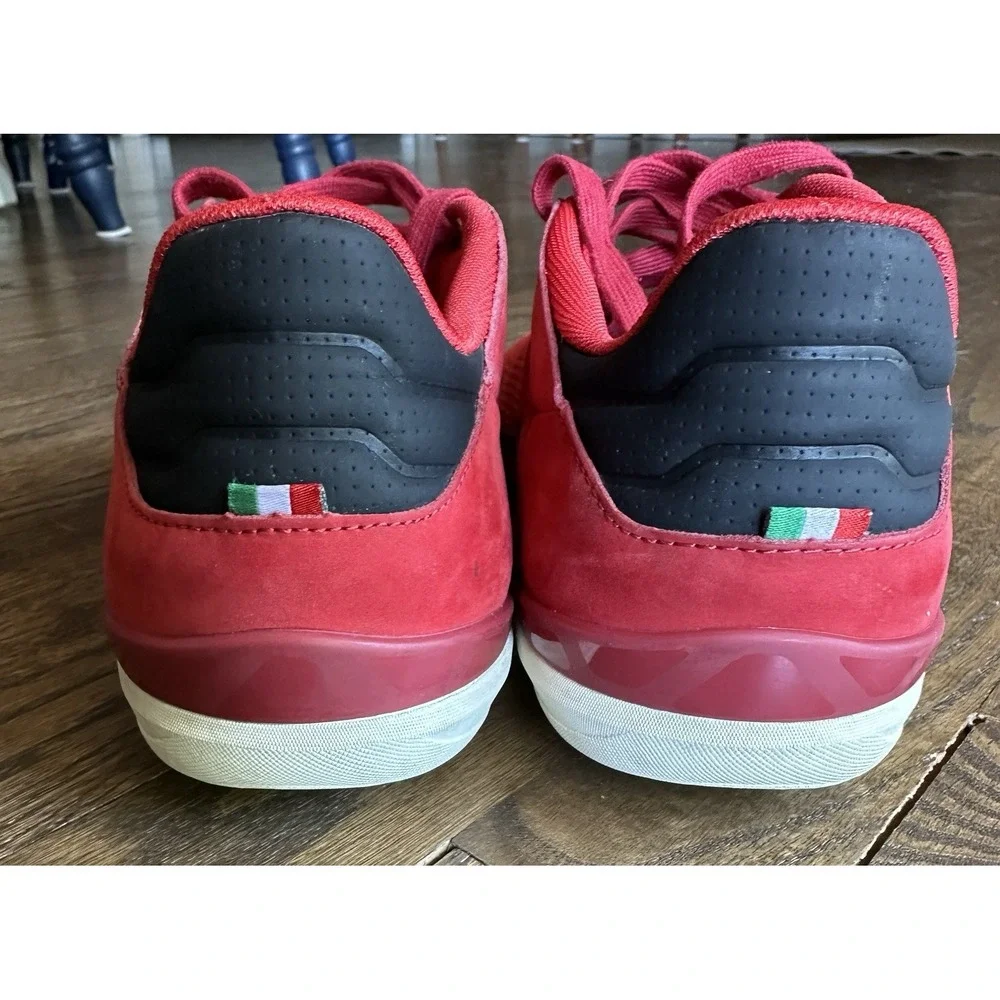 Puma gigante lo